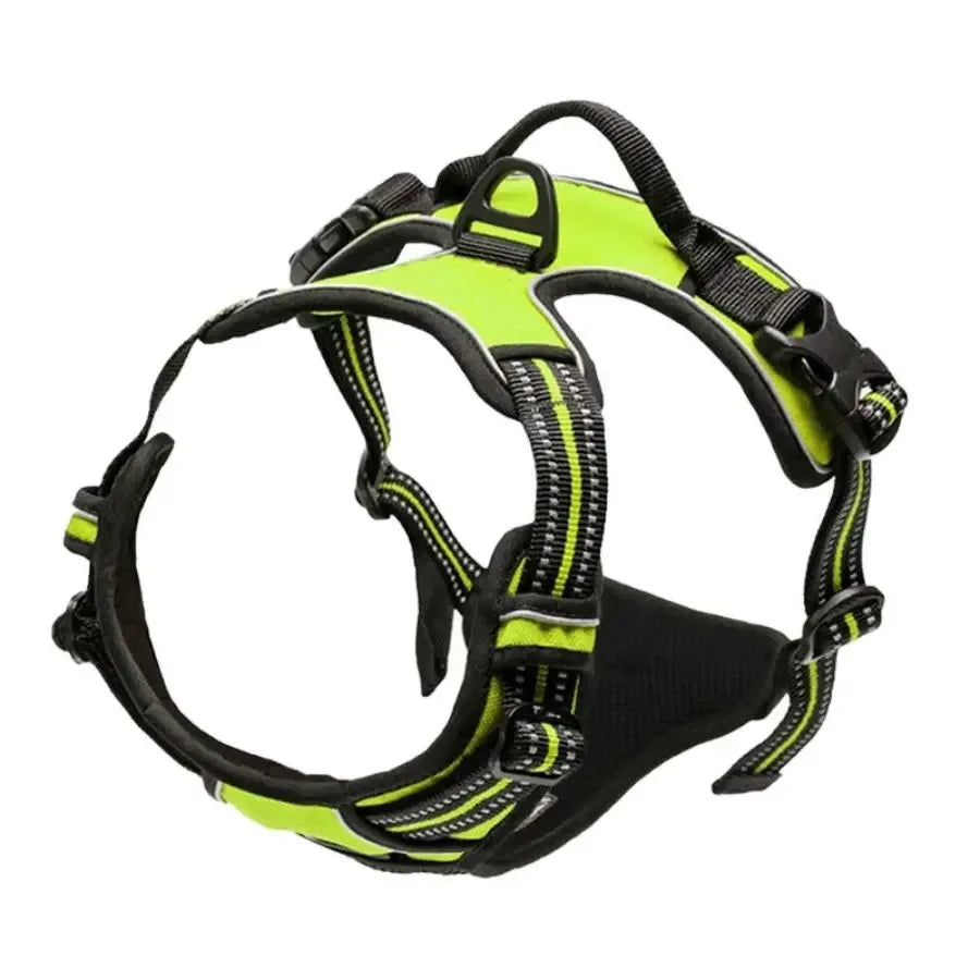 Adjustable Dog Collar & Harness Set