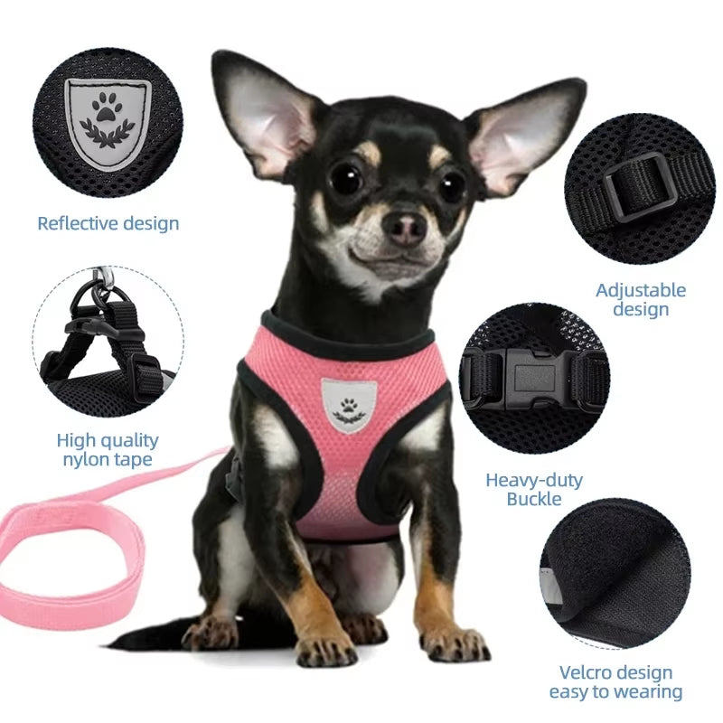 Adjustable Breathable Polyester Mesh Style Cat and Dog Harness with Lead/Leash for Small Pets 