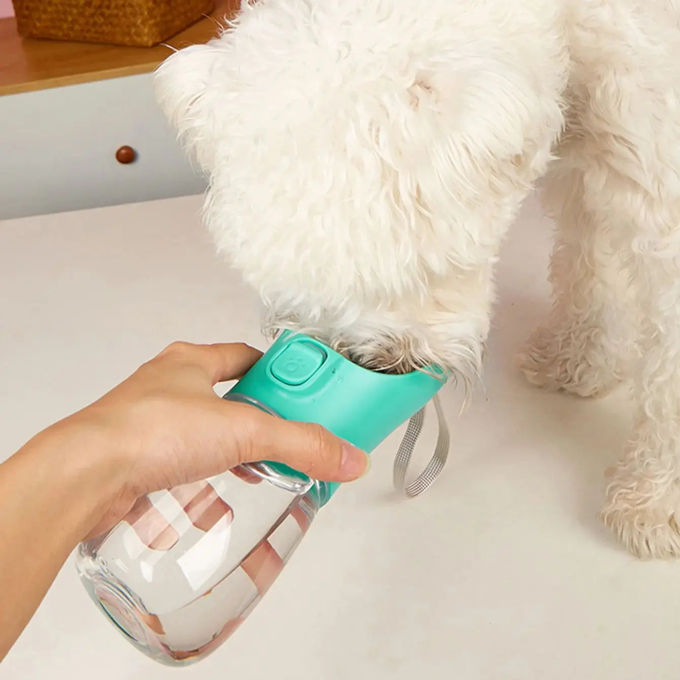 Portable Leakproof Dog Water Bottle for Outdoor Hiking and Exercise Runs