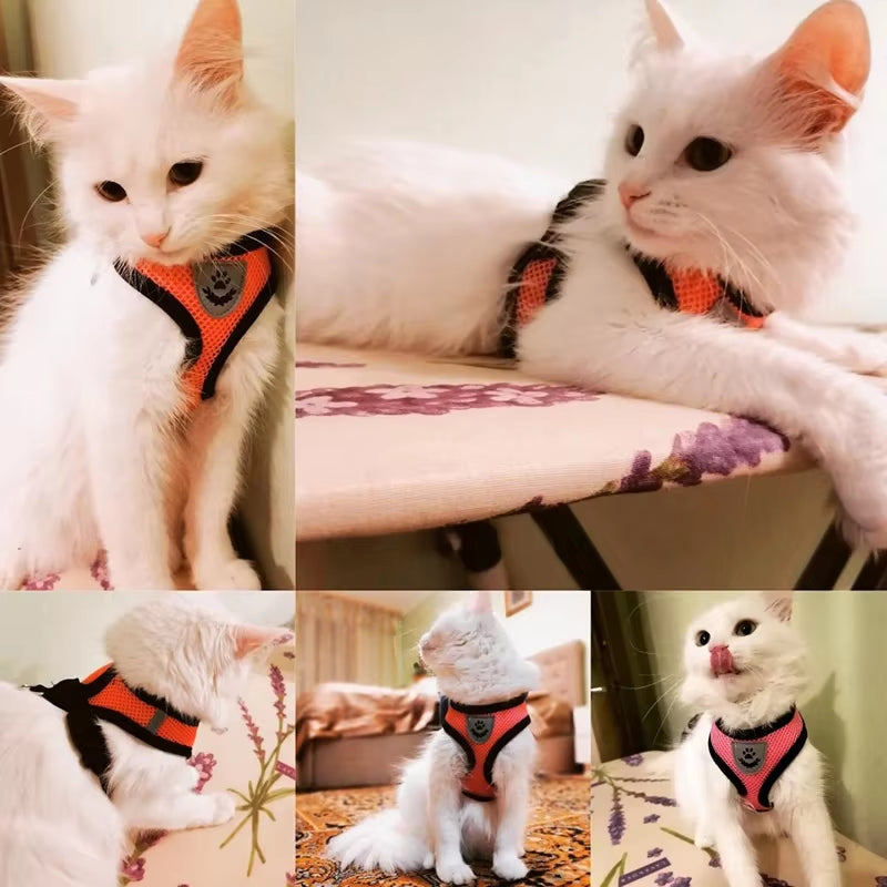 Adjustable Breathable Polyester Mesh Style Cat and Dog Harness with Lead/Leash for Small Pets 