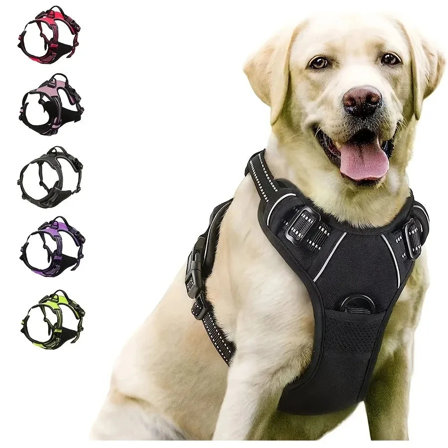 Adjustable Dog Collar & Harness Set