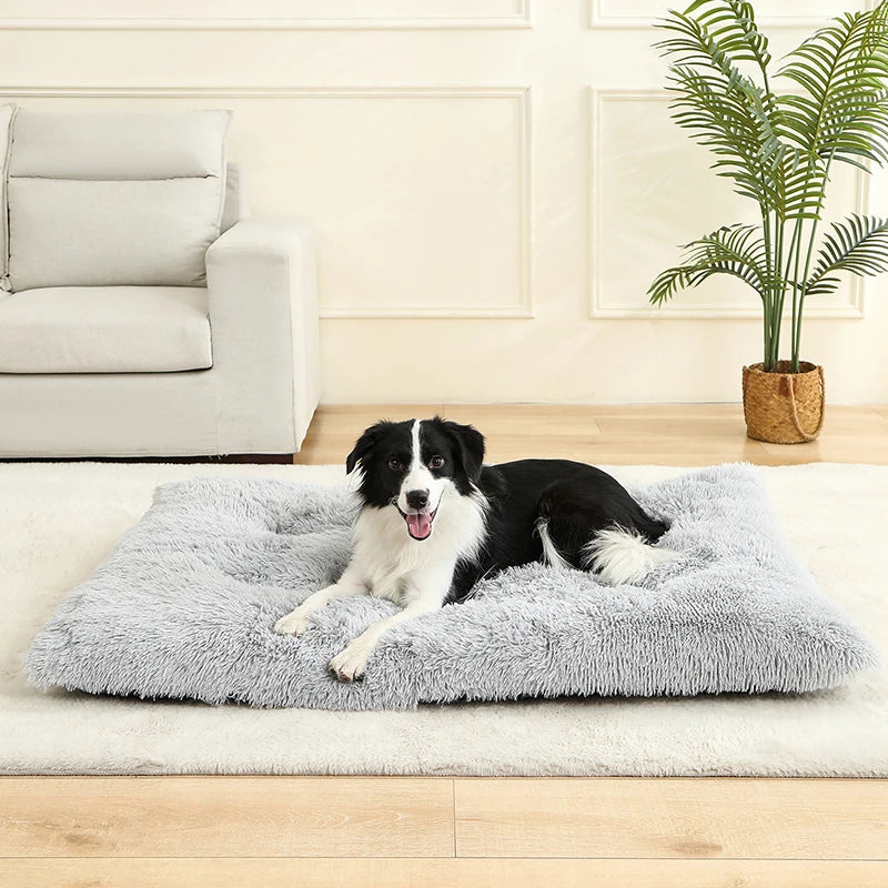 Soft Cozy Pet Bed for Dogs & Cats
