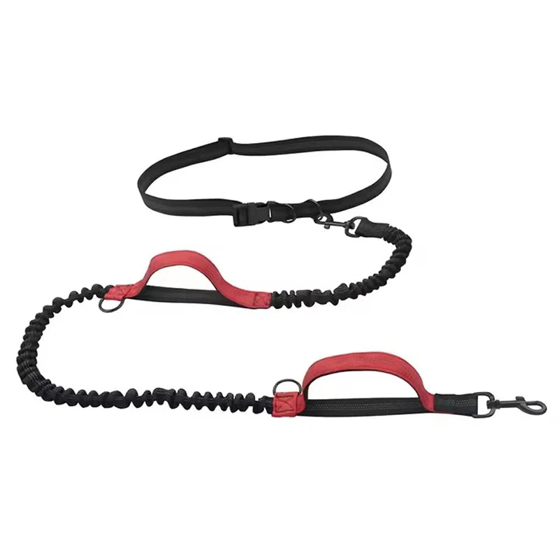 Stretchable Elastic Hands-Free Reflective Dog Leash with Dual Handles