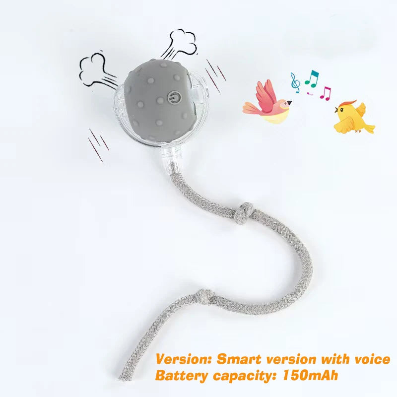 Rechargeable Smart Automatic Dog Interactive Ball Toy for Dogs and Cats