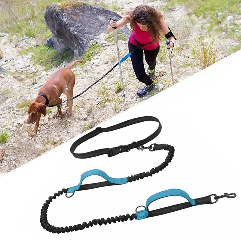 Stretchable Elastic Hands-Free Reflective Dog Leash with Dual Handles