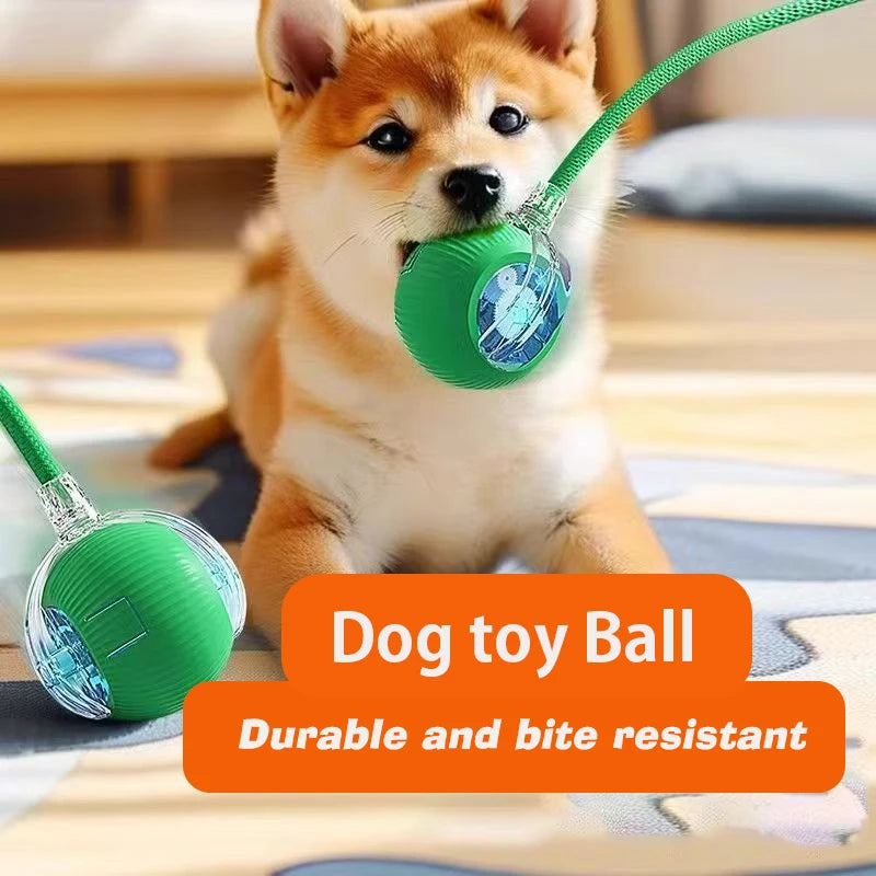 Rechargeable Smart Automatic Dog Interactive Ball Toy for Dogs and Cats