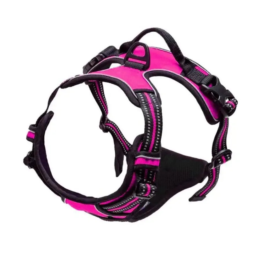 Adjustable Dog Collar & Harness Set