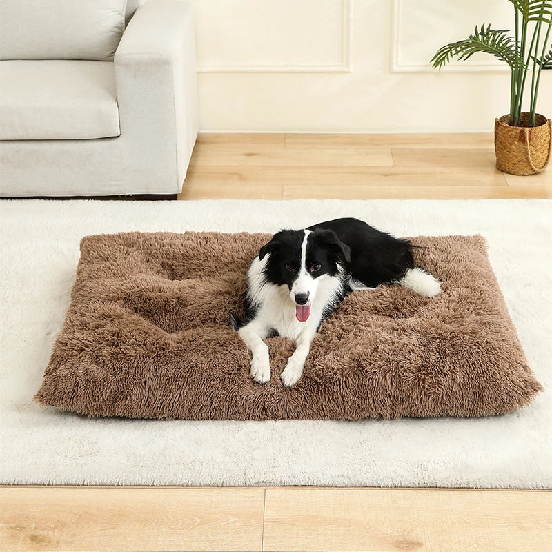 Soft Cozy Pet Bed for Dogs & Cats