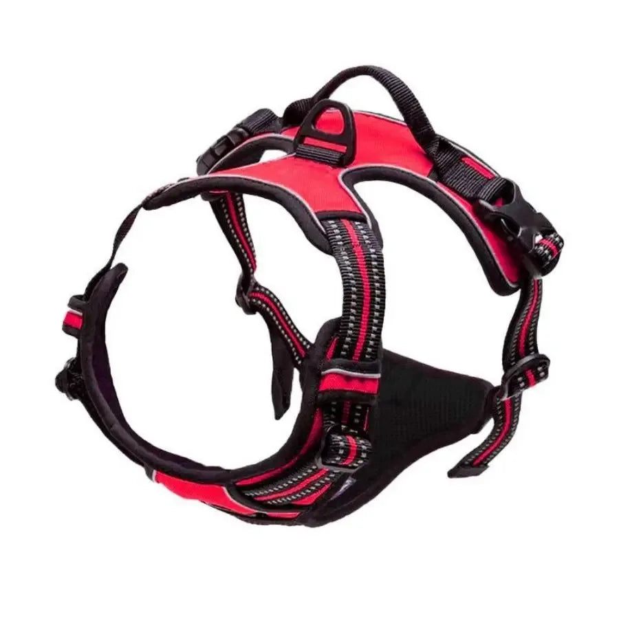 Adjustable Dog Collar & Harness Set