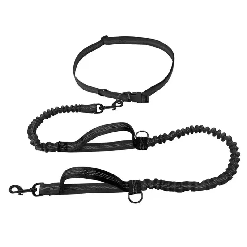 Stretchable Elastic Hands-Free Reflective Dog Leash with Dual Handles