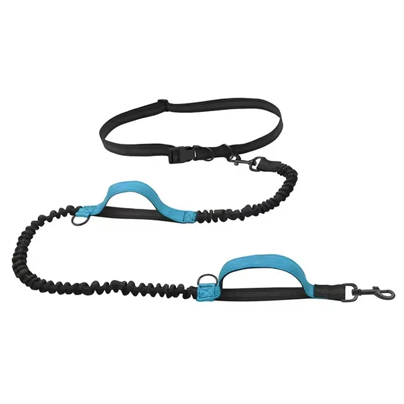 Stretchable Elastic Hands-Free Reflective Dog Leash with Dual Handles