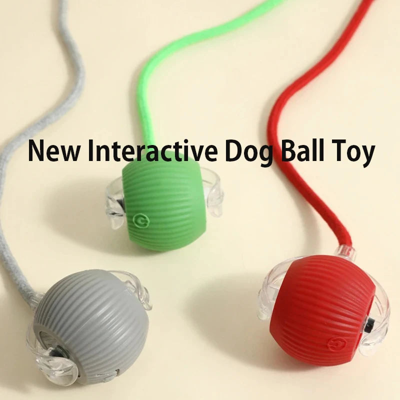 Rechargeable Smart Automatic Dog Interactive Ball Toy for Dogs and Cats