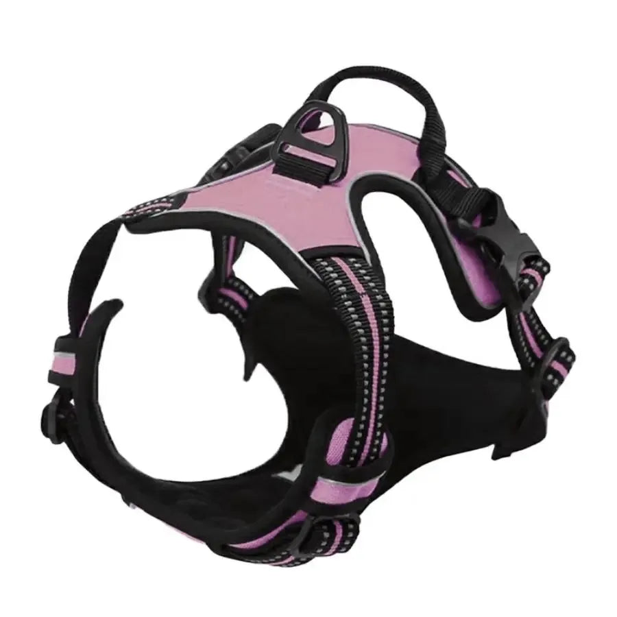 Adjustable Dog Collar & Harness Set
