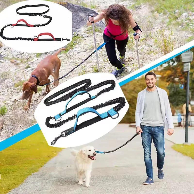 Stretchable Elastic Hands-Free Reflective Dog Leash with Dual Handles