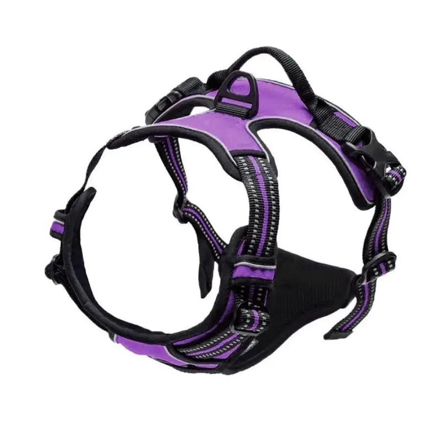 Adjustable Dog Collar & Harness Set