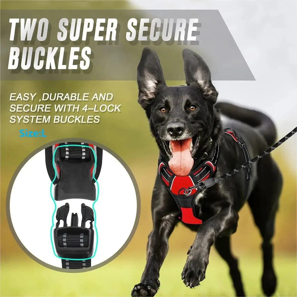 Adjustable Dog Collar & Harness Set