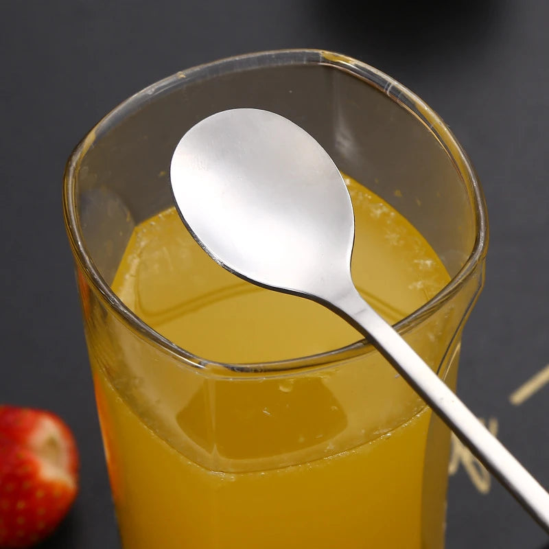 Long Handle Stainless Steel Spoon 