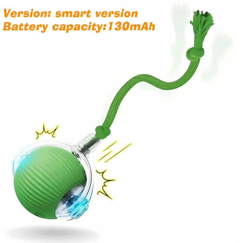 Rechargeable Smart Automatic Dog Interactive Ball Toy for Dogs and Cats