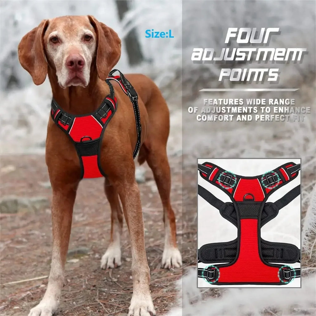 Adjustable Dog Collar & Harness Set