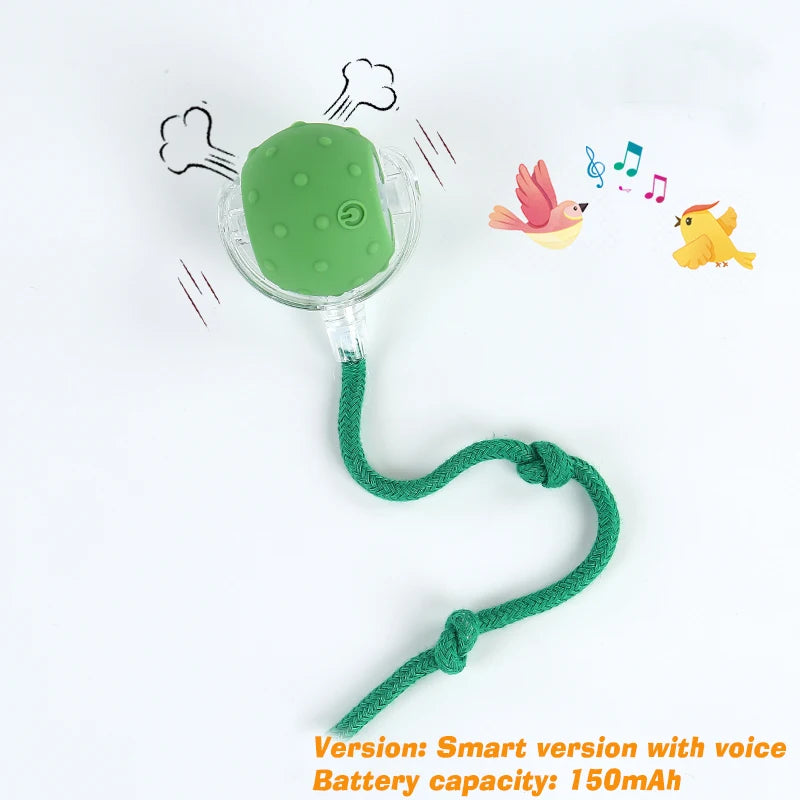 Rechargeable Smart Automatic Dog Interactive Ball Toy for Dogs and Cats