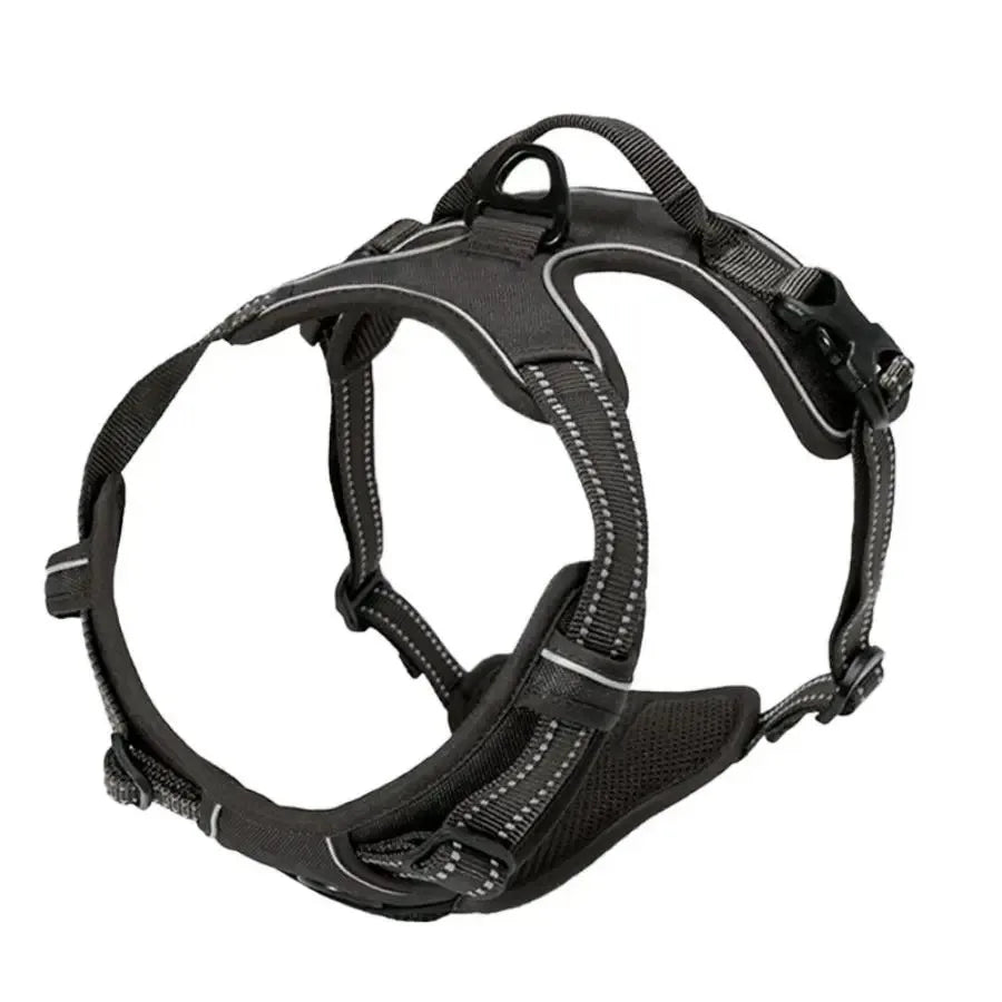 Adjustable Dog Collar & Harness Set