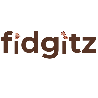 fidgitz